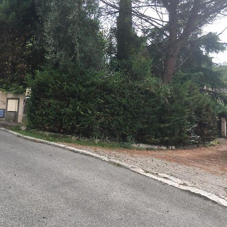 Le Cannet 10Mn Cannes Chambre Independante Etage D'Une Maison Avec Piscine Zewnętrze zdjęcie